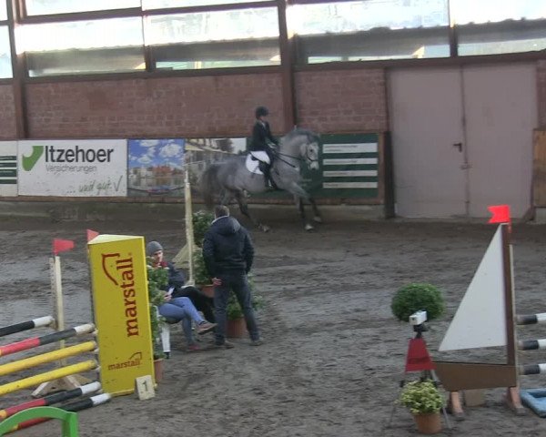 Reitturnier Hamburg-Friedrichshulde/Sylva Kuhrt 2019