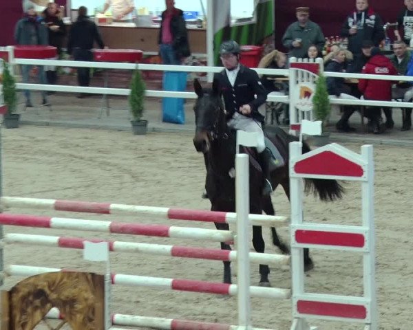 Reitturnier Neustadt/Dosse 2019