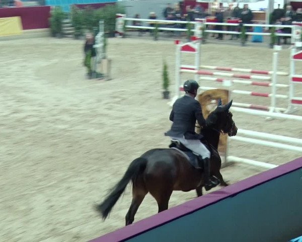 Reitturnier Neustadt/Dosse 2019