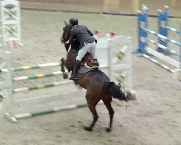 Reitturnier Prussendorf 2019