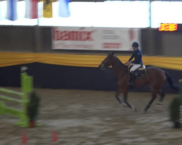 Reitturnier Erlen 2019