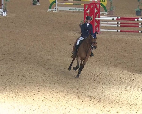 Reitturnier Kreuth/Opf. 2019
