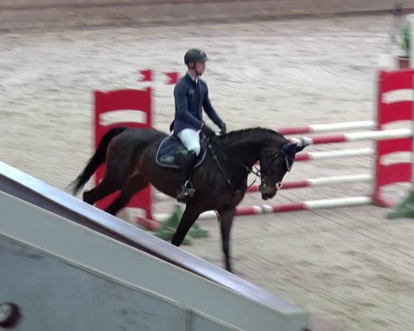 Reitturnier Prussendorf 2019