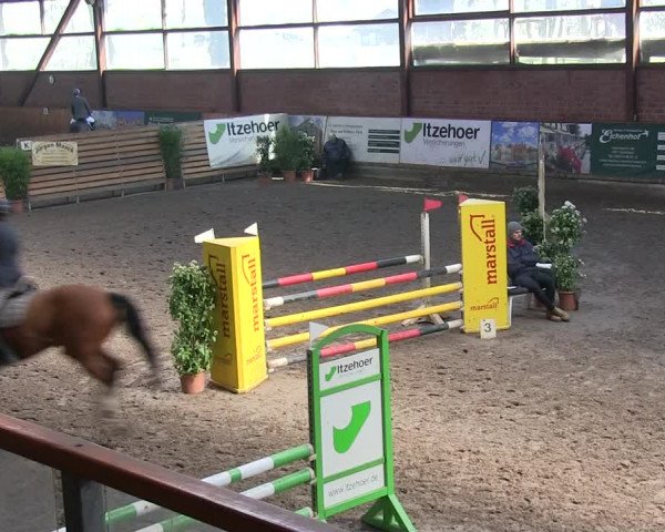 Reitturnier Hamburg-Friedrichshulde/Sylva Kuhrt 2019