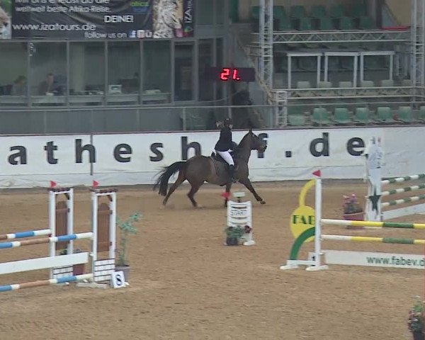 Reitturnier Kreuth/Opf. 2019