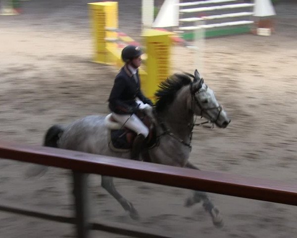 Reitturnier Hamburg-Friedrichshulde/Sylva Kuhrt 2019