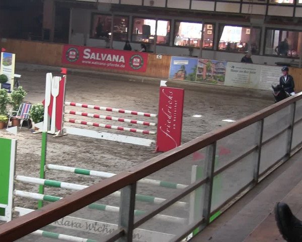 Reitturnier Hamburg-Friedrichshulde/Sylva Kuhrt 2019