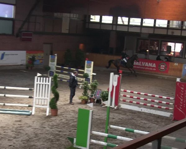 Reitturnier Hamburg-Friedrichshulde/Sylva Kuhrt 2019