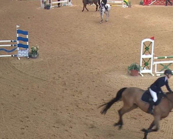 Reitturnier Kreuth/Opf. 2019
