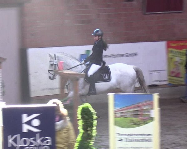 Reitturnier Hamburg-Friedrichshulde/Sylva Kuhrt 2019