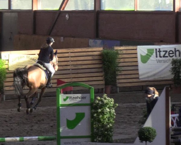 Reitturnier Hamburg-Friedrichshulde/Sylva Kuhrt 2019
