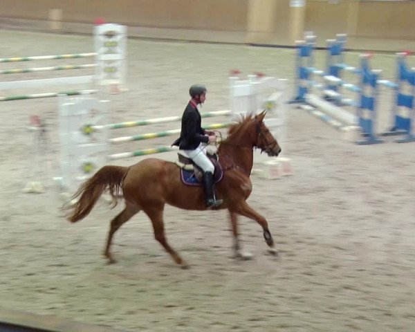 Reitturnier Prussendorf 2019
