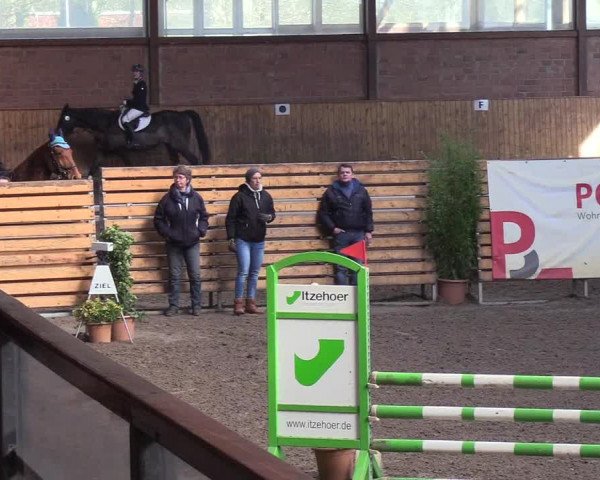 Reitturnier Hamburg-Friedrichshulde/Sylva Kuhrt 2019