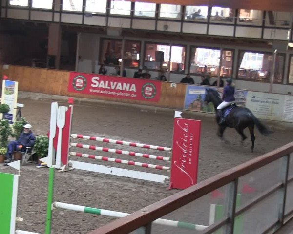 Reitturnier Hamburg-Friedrichshulde/Sylva Kuhrt 2019