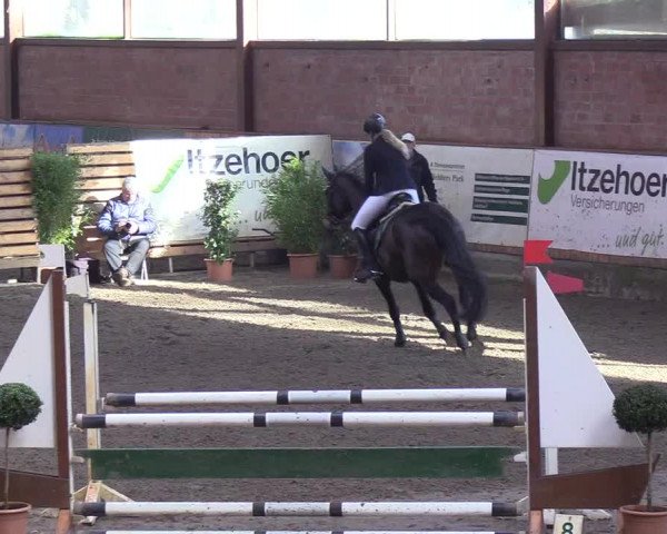 Reitturnier Hamburg-Friedrichshulde/Sylva Kuhrt 2019