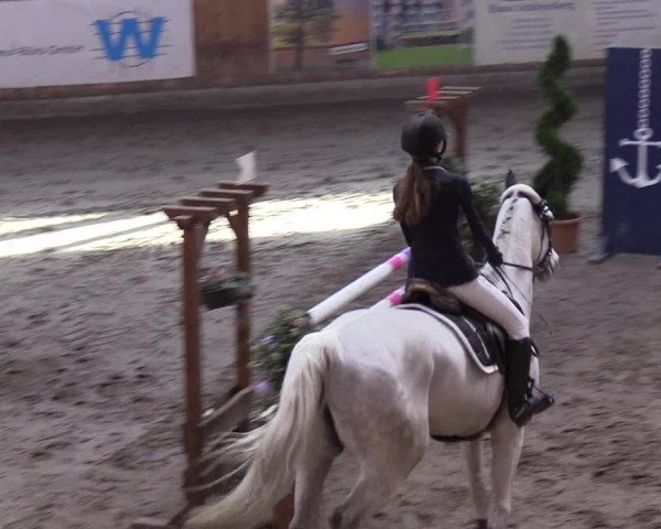 Reitturnier Hamburg-Friedrichshulde/Sylva Kuhrt 2019