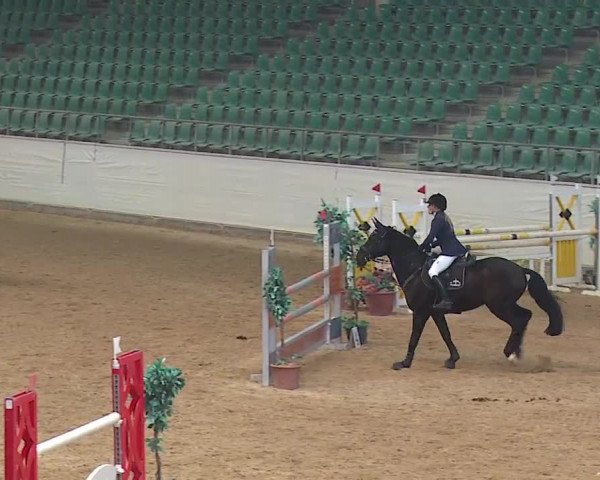 Reitturnier Kreuth/Opf. 2019