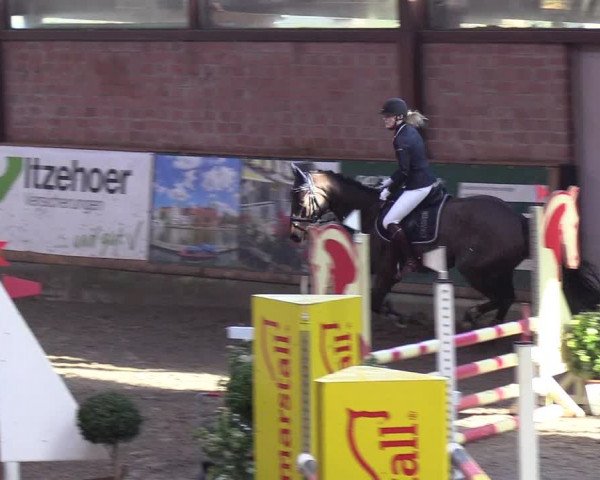 Reitturnier Hamburg-Friedrichshulde/Sylva Kuhrt 2019