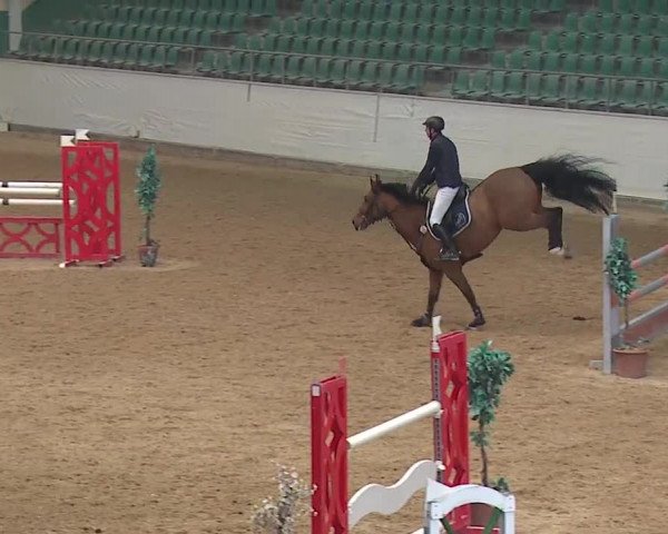 Reitturnier Kreuth/Opf. 2019