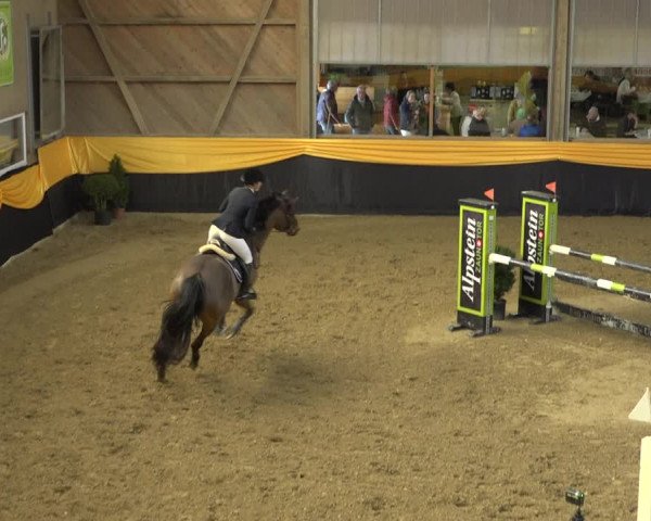 Reitturnier Erlen 2019