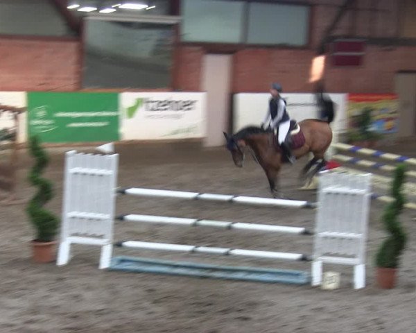 Reitturnier Hamburg-Friedrichshulde/Sylva Kuhrt 2019