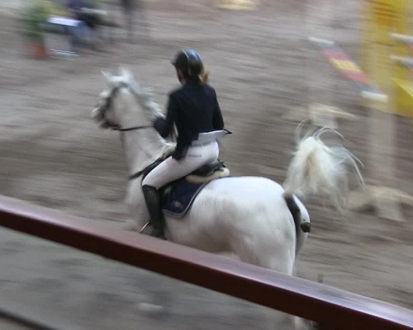Reitturnier Hamburg-Friedrichshulde/Sylva Kuhrt 2019