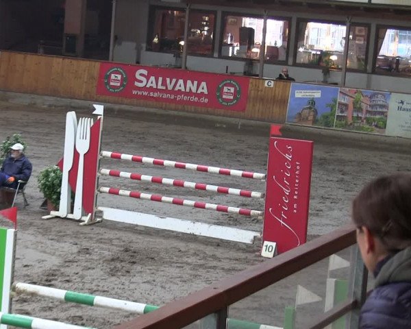Reitturnier Hamburg-Friedrichshulde/Sylva Kuhrt 2019