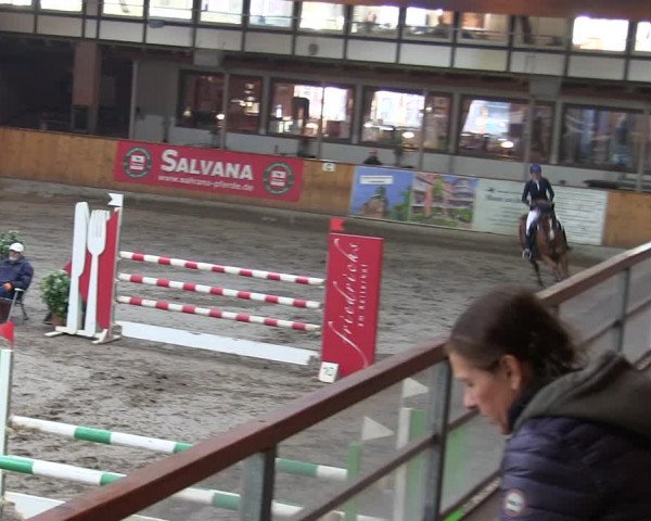Reitturnier Hamburg-Friedrichshulde/Sylva Kuhrt 2019