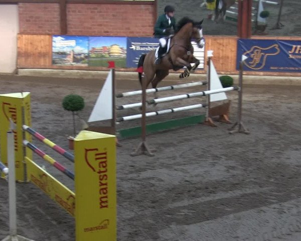 Reitturnier Hamburg-Friedrichshulde/Sylva Kuhrt 2019