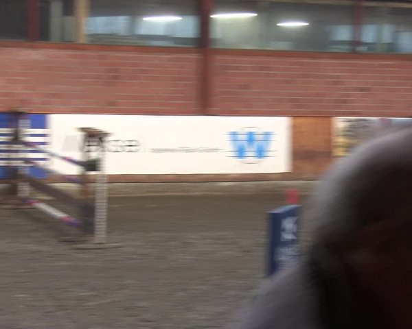 Reitturnier Hamburg-Friedrichshulde/Sylva Kuhrt 2019