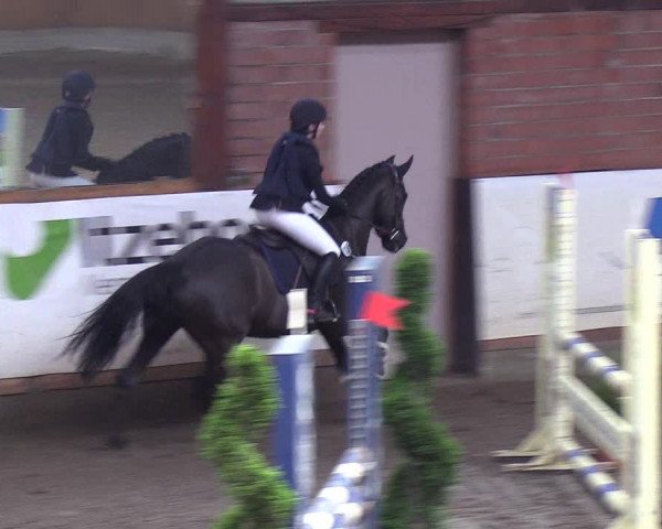 Reitturnier Hamburg-Friedrichshulde/Sylva Kuhrt 2019