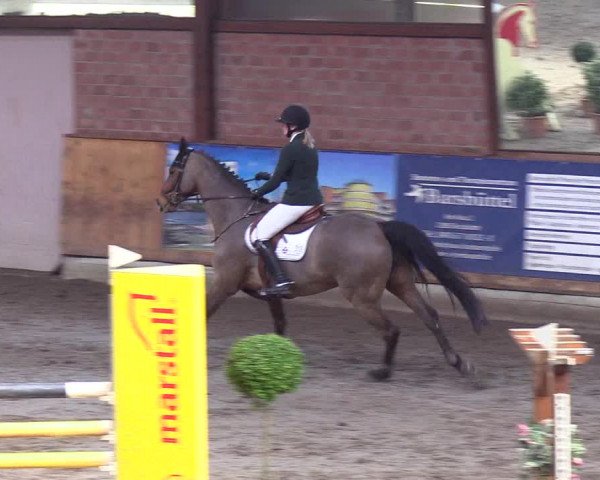 Reitturnier Hamburg-Friedrichshulde/Sylva Kuhrt 2019