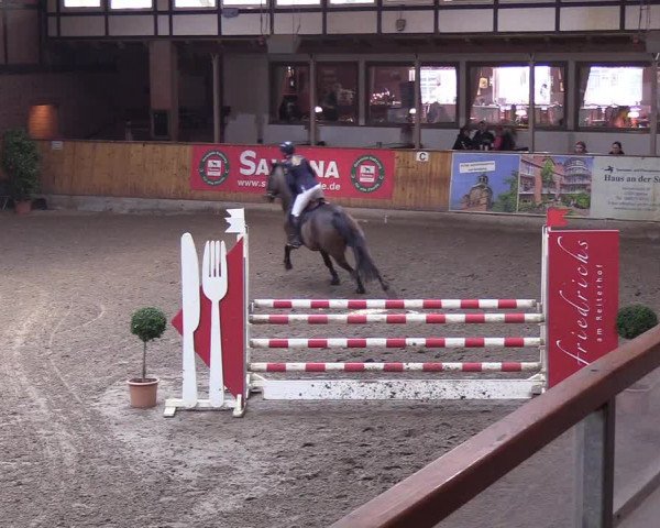 Reitturnier Hamburg-Friedrichshulde/Sylva Kuhrt 2019