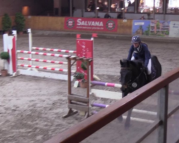Reitturnier Hamburg-Friedrichshulde/Sylva Kuhrt 2019
