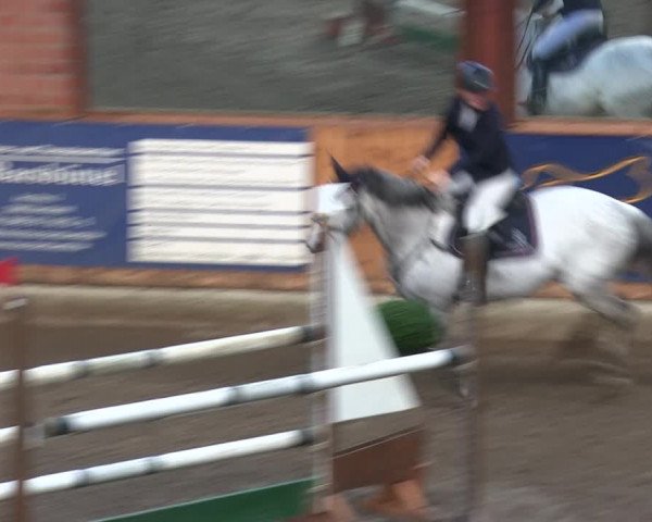 Reitturnier Hamburg-Friedrichshulde/Sylva Kuhrt 2019