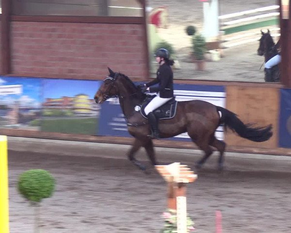 Reitturnier Hamburg-Friedrichshulde/Sylva Kuhrt 2019
