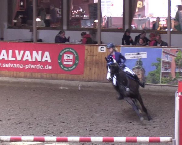 Reitturnier Hamburg-Friedrichshulde/Sylva Kuhrt 2019