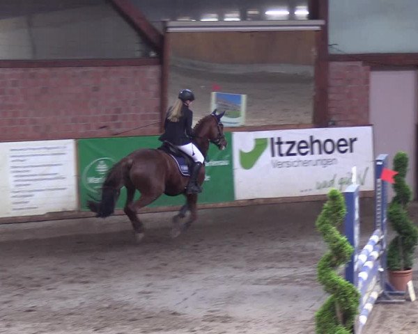 Reitturnier Hamburg-Friedrichshulde/Sylva Kuhrt 2019