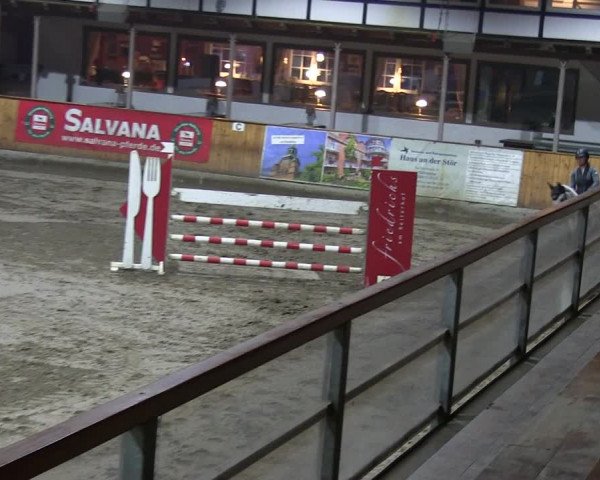 Reitturnier Hamburg-Friedrichshulde/Sylva Kuhrt 2019