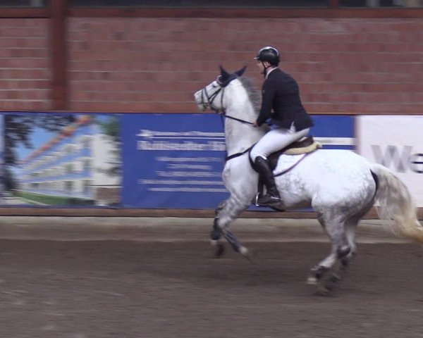 Reitturnier Hamburg-Friedrichshulde/Sylva Kuhrt 2019