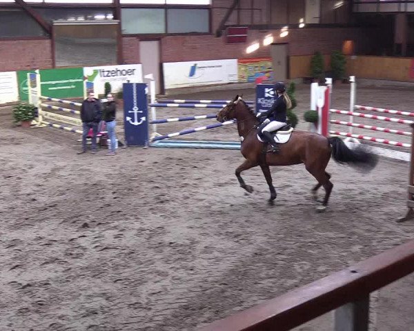 Reitturnier Hamburg-Friedrichshulde/Sylva Kuhrt 2019