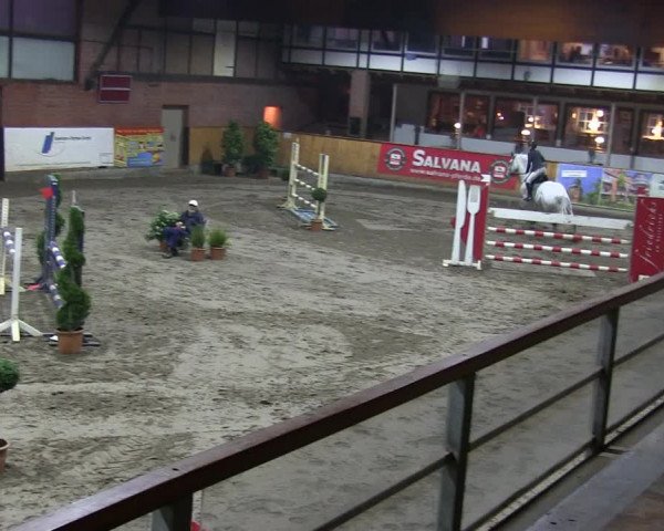 Reitturnier Hamburg-Friedrichshulde/Sylva Kuhrt 2019