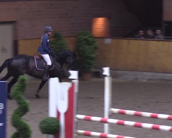 Reitturnier Hamburg-Friedrichshulde/Sylva Kuhrt 2019