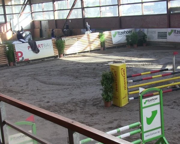 Reitturnier Hamburg-Friedrichshulde/Sylva Kuhrt 2019