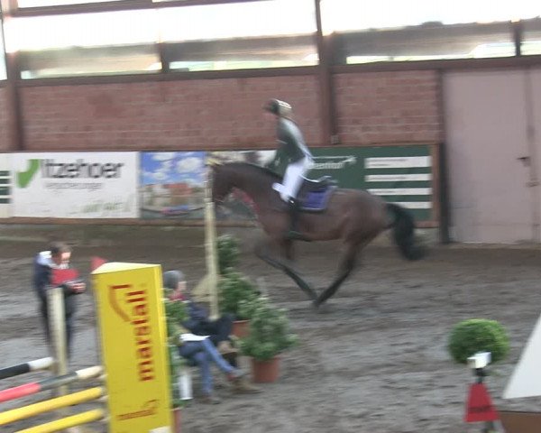 Reitturnier Hamburg-Friedrichshulde/Sylva Kuhrt 2019