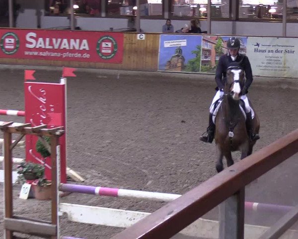Reitturnier Hamburg-Friedrichshulde/Sylva Kuhrt 2019