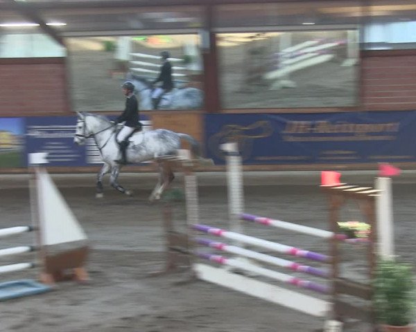 Reitturnier Hamburg-Friedrichshulde/Sylva Kuhrt 2019