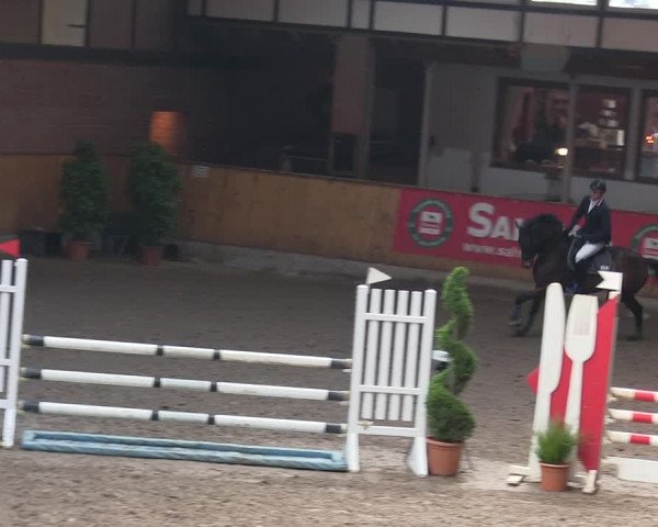 Reitturnier Hamburg-Friedrichshulde/Sylva Kuhrt 2019