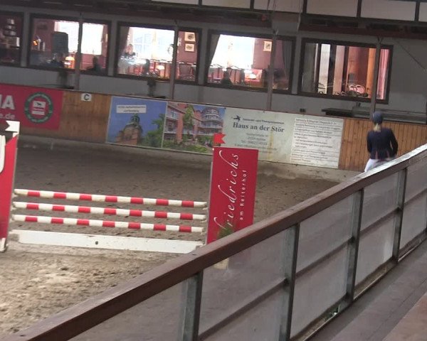Reitturnier Hamburg-Friedrichshulde/Sylva Kuhrt 2019