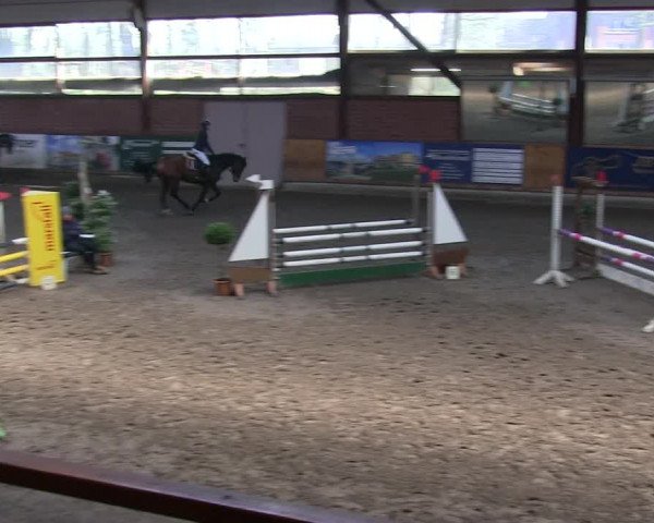 Reitturnier Hamburg-Friedrichshulde/Sylva Kuhrt 2019